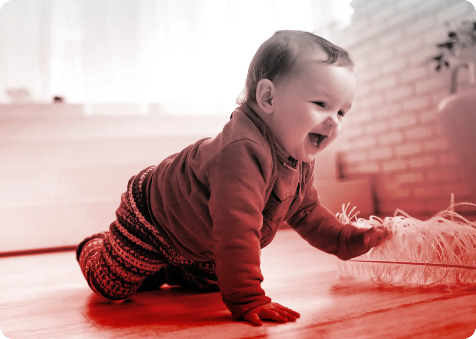 Baab Baby Img 1